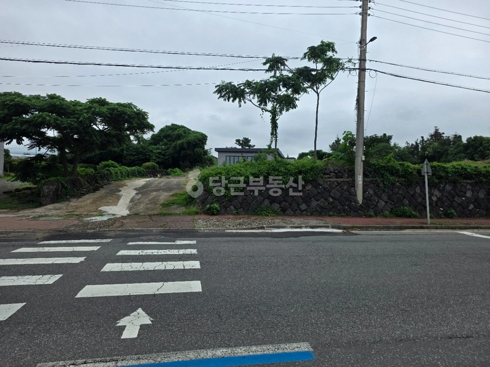 제주특별자치도 서귀포시 강정동 토지 사진 1