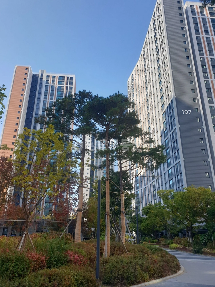 전남광주통합특별시 여수시 학동 아파트 사진 1