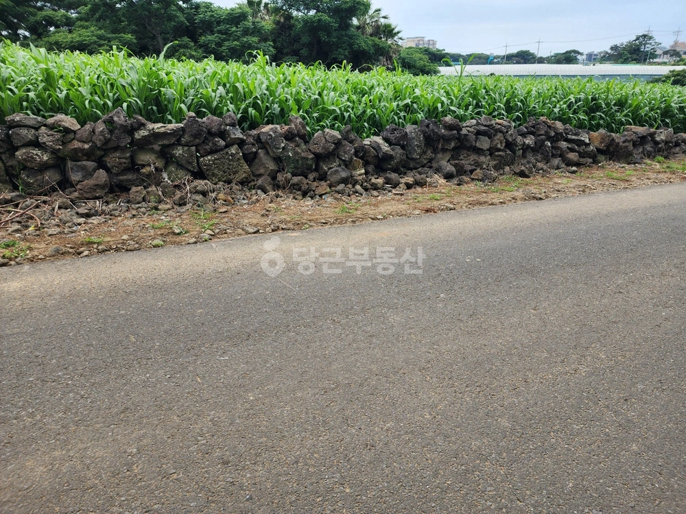 제주특별자치도 제주시 한림읍 토지 사진 1