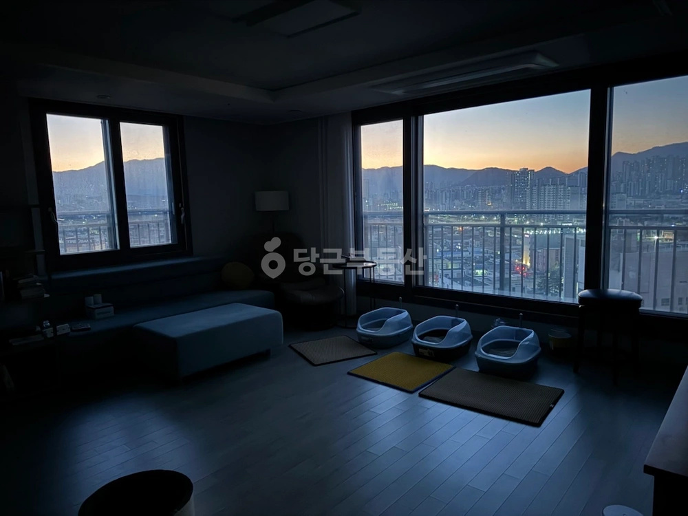 강원특별자치도 춘천시 약사동 아파트 사진 1