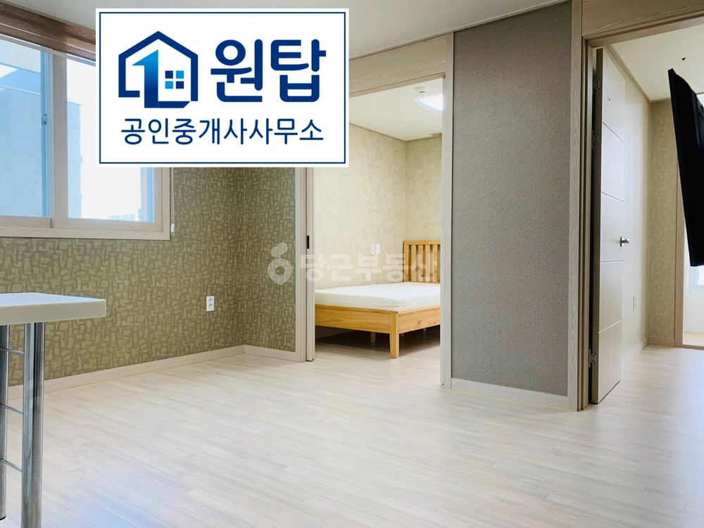 제주특별자치도 제주시 연동 빌라(투룸 이상) 사진 1