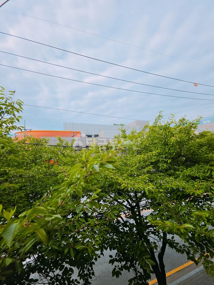 경기도 평택시 서정동 빌라(투룸 이상) 사진 1