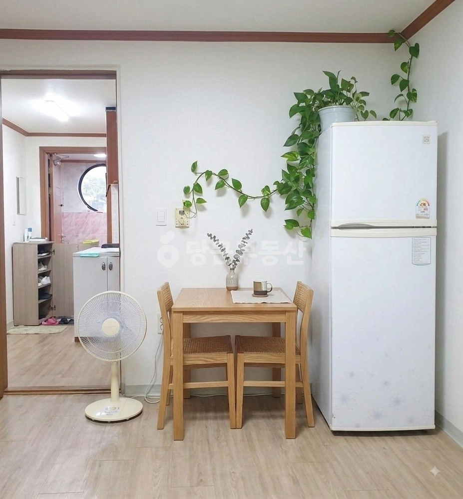 경기도 용인시 수지구 풍덕천동 원룸 사진 1