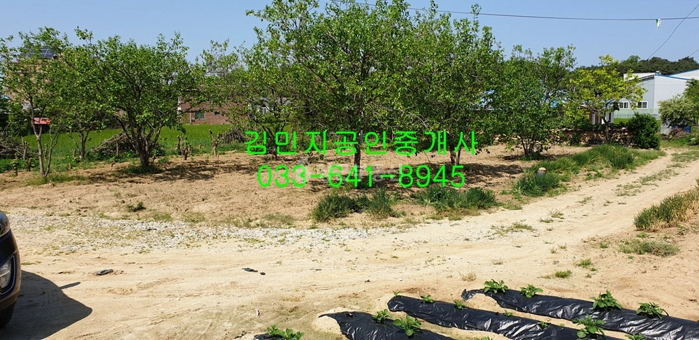 강원특별자치도 강릉시 구정면 토지 사진 1