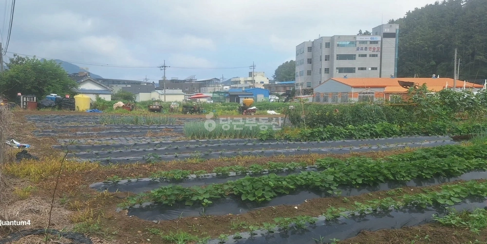 전남광주통합특별시 영광군 법성면 토지 사진 1
