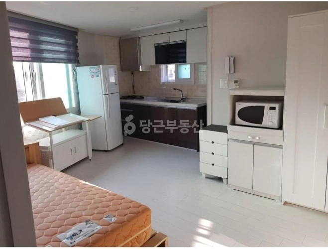 제주특별자치도 제주시 아라일동 원룸 사진 1