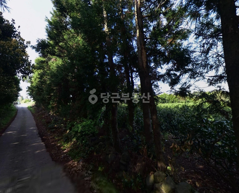 제주특별자치도 서귀포시 안덕면 토지 사진 1