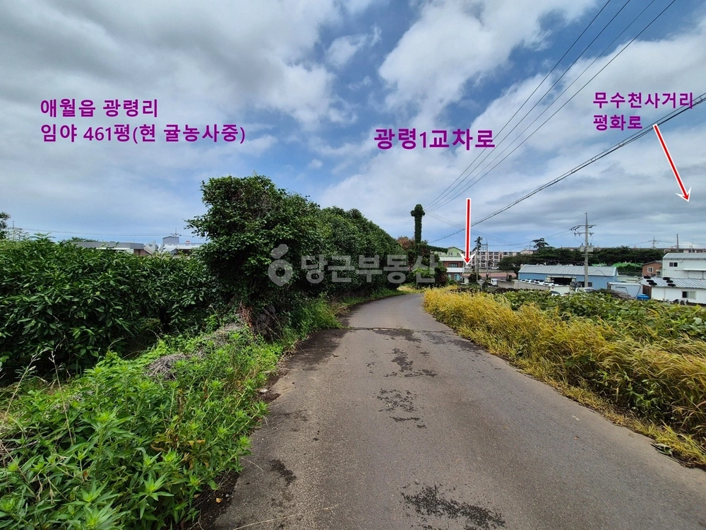 제주특별자치도 제주시 애월읍 토지 사진 1