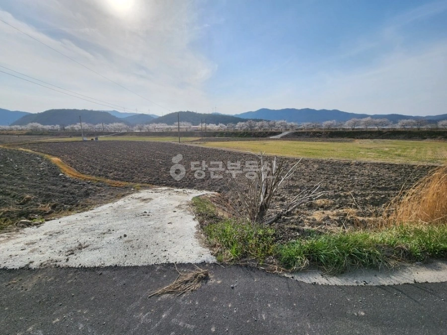 전남광주통합특별시 화순군 이양면 토지 사진 1