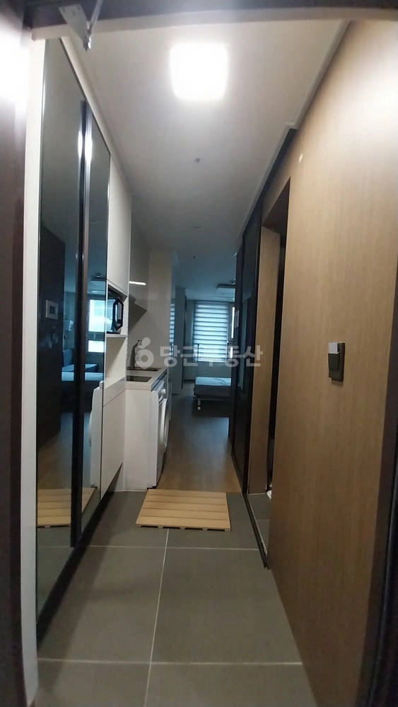 제주특별자치도 서귀포시 중문동 원룸 사진 1