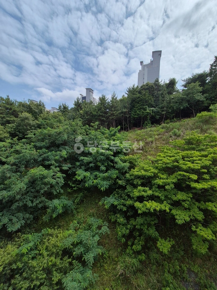 경상남도 거제시 아주동 아파트 사진 1