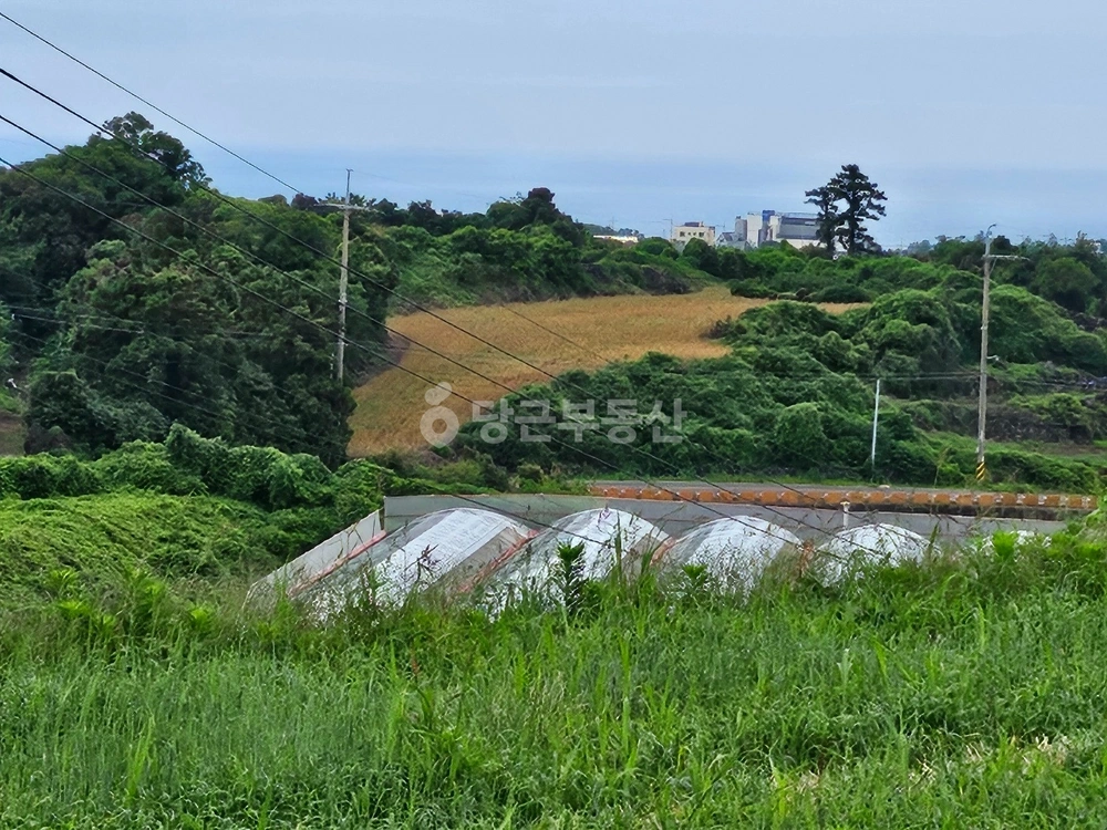제주특별자치도 제주시 애월읍 토지 사진 1