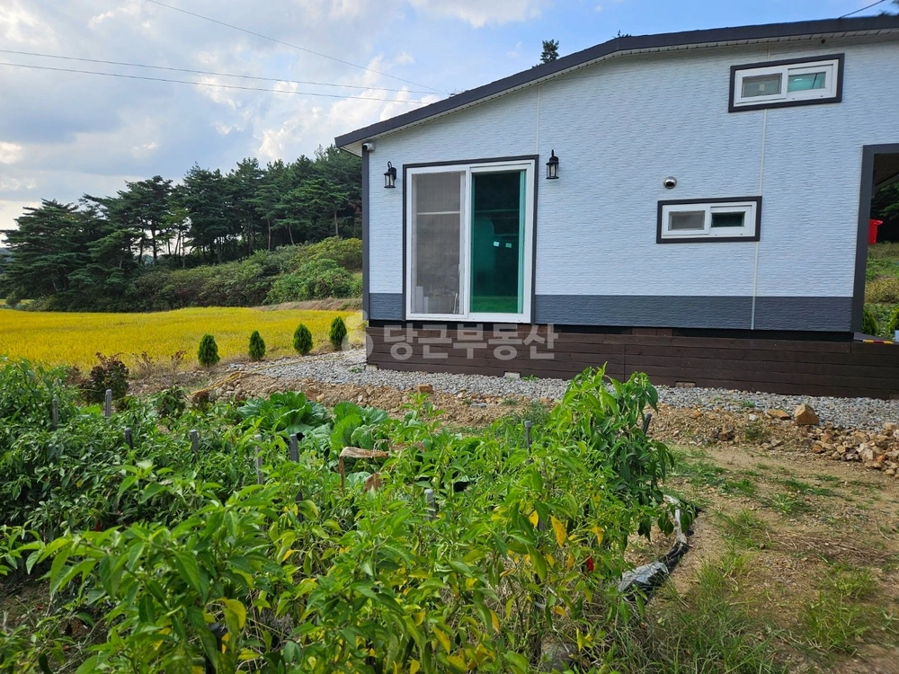 충청남도 당진시 원당동 토지 사진 1