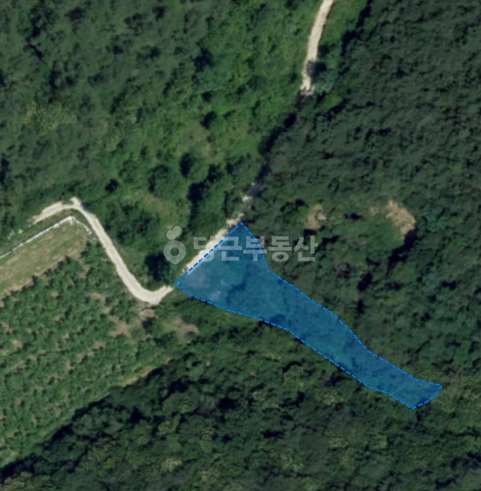 경상북도 영천시 화산면 토지 사진 1