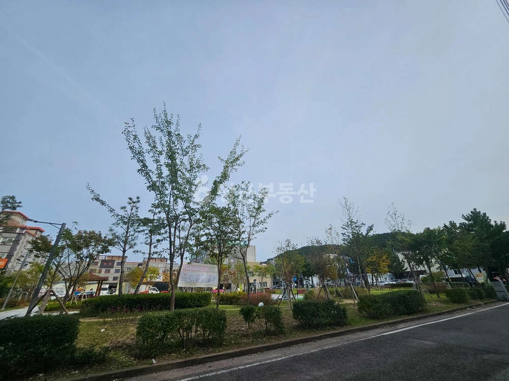 경상북도 포항시 북구 양덕동 빌라(투룸 이상) 사진 1