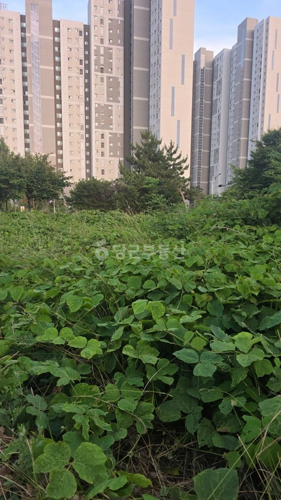 인천광역시 영종구 운북동 토지 사진 1