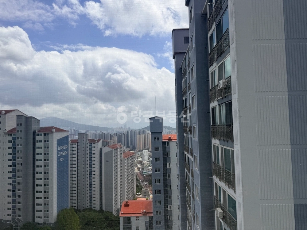 부산광역시 동래구 사직동 아파트 사진 1
