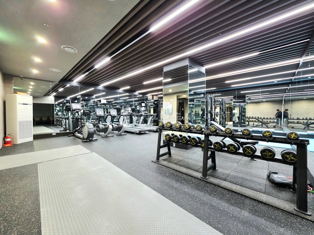 서울특별시 강남구 역삼동 오피스텔 사진 1