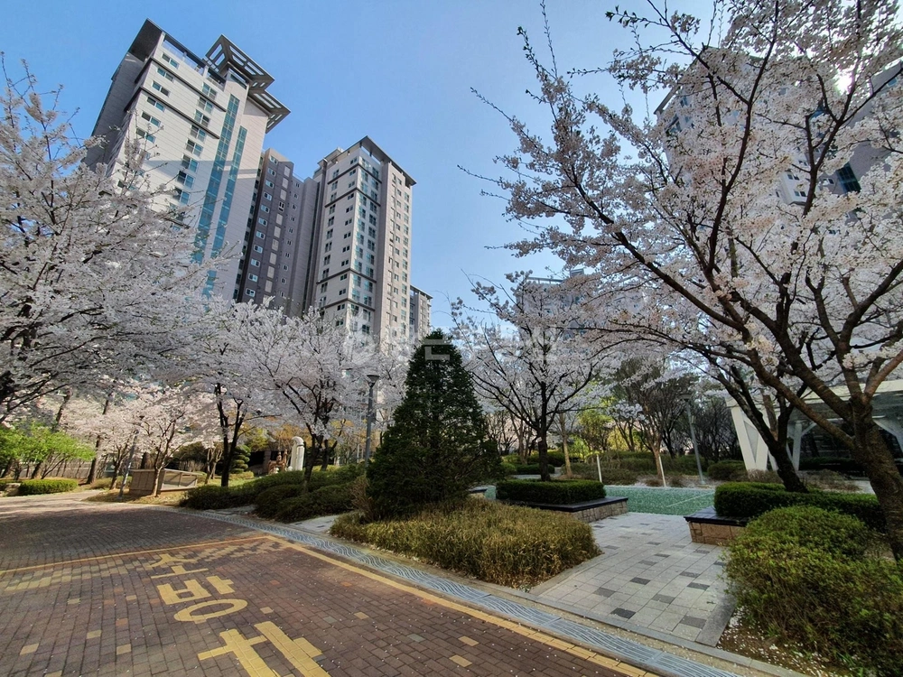 인천광역시 서해구 청라동 아파트 사진 1