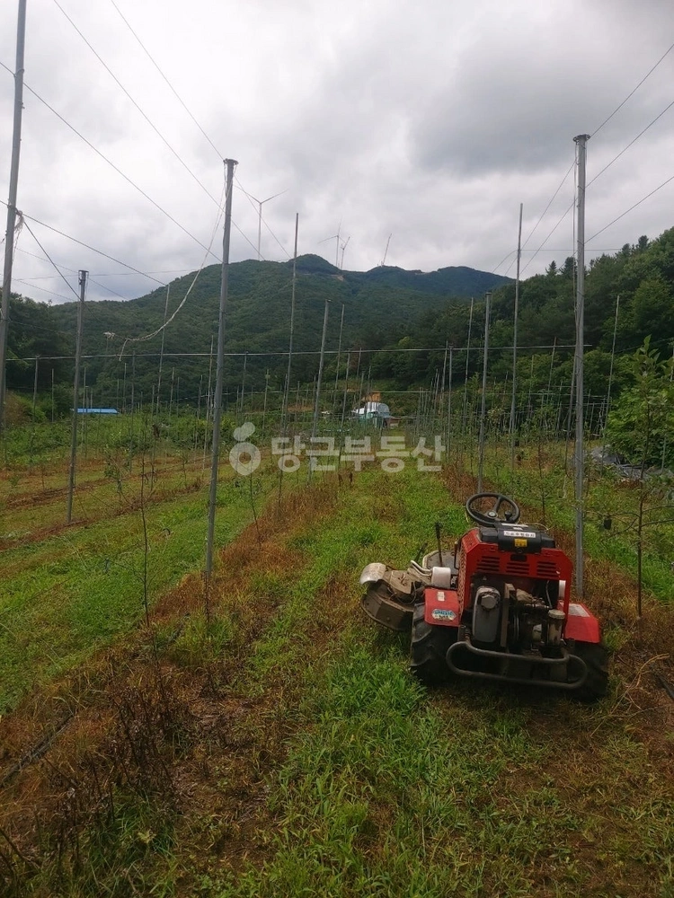 경상북도 김천시 어모면 토지 사진 1