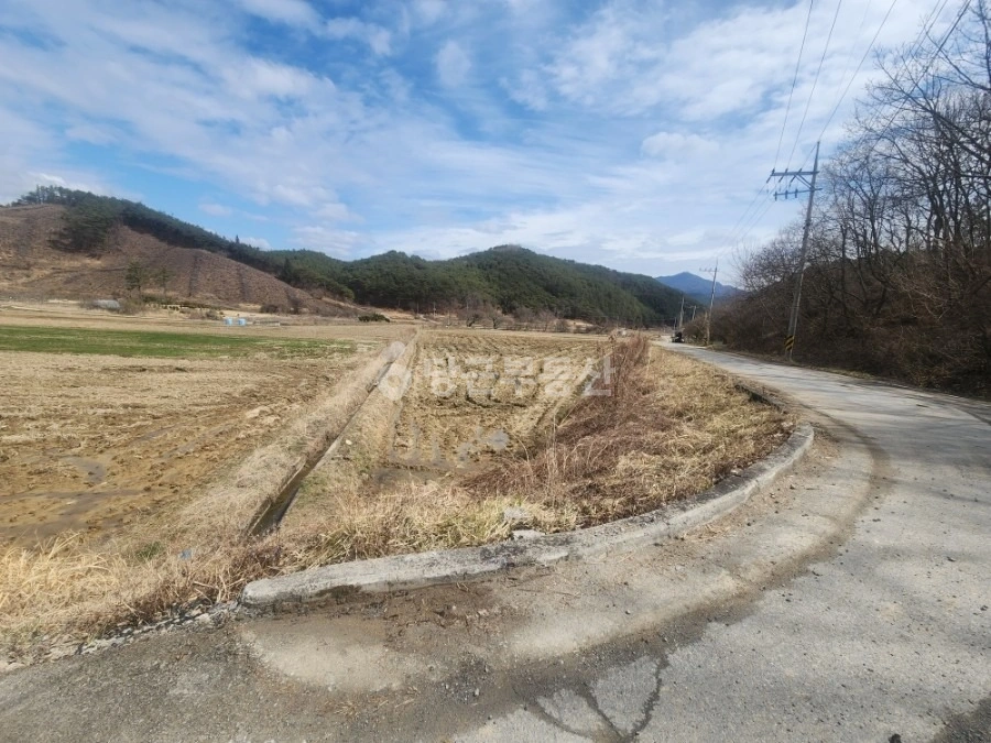 전남광주통합특별시 화순군 동복면 토지 사진 1