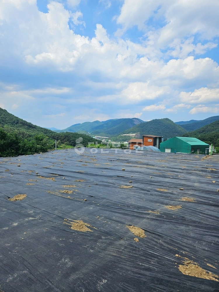 경상북도 경산시 남천면 토지 사진 1