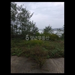 인천광역시 강화군 삼산면 토지 사진 1