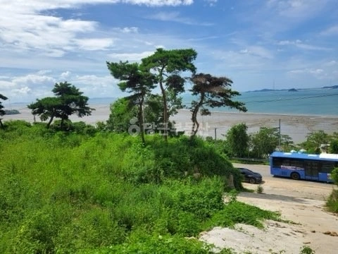 인천광역시 강화군 삼산면 토지 사진 1