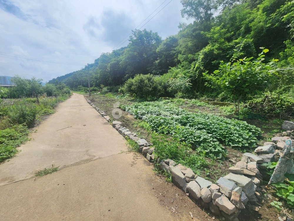 전남광주통합특별시 화순군 화순읍 토지 사진 1