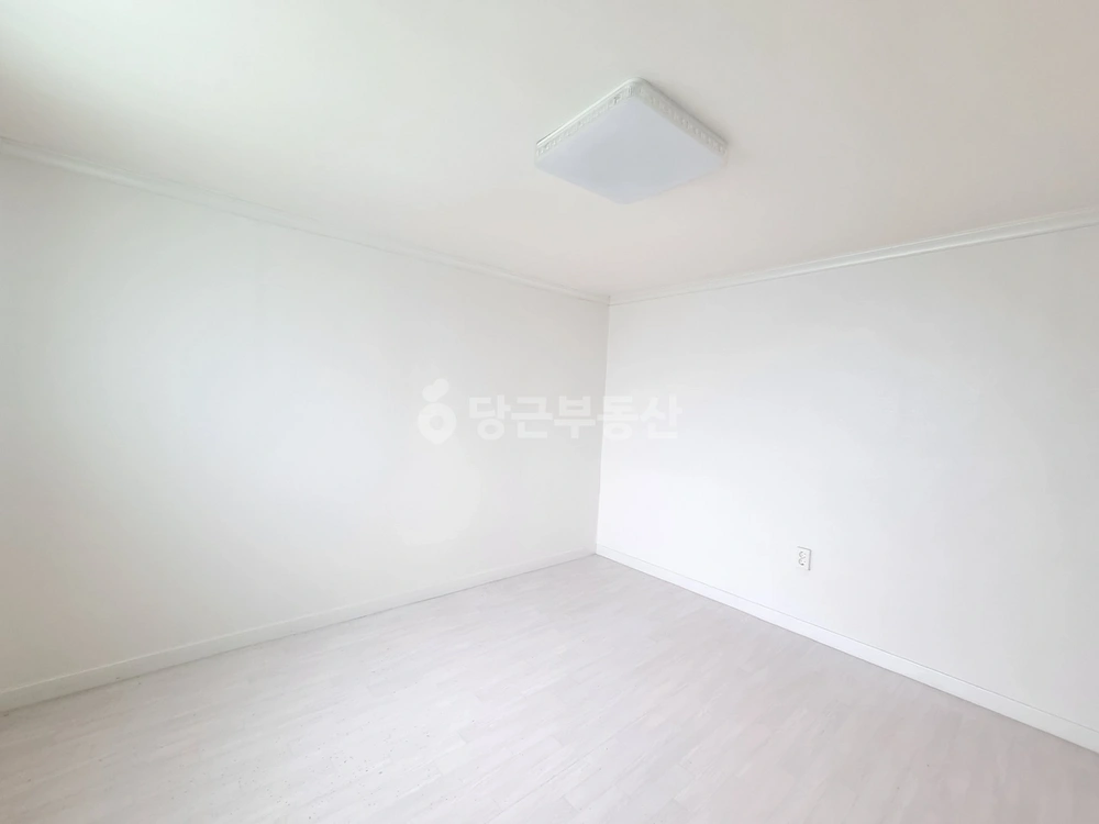 대구광역시 달서구 진천동 빌라(투룸 이상) 사진 1