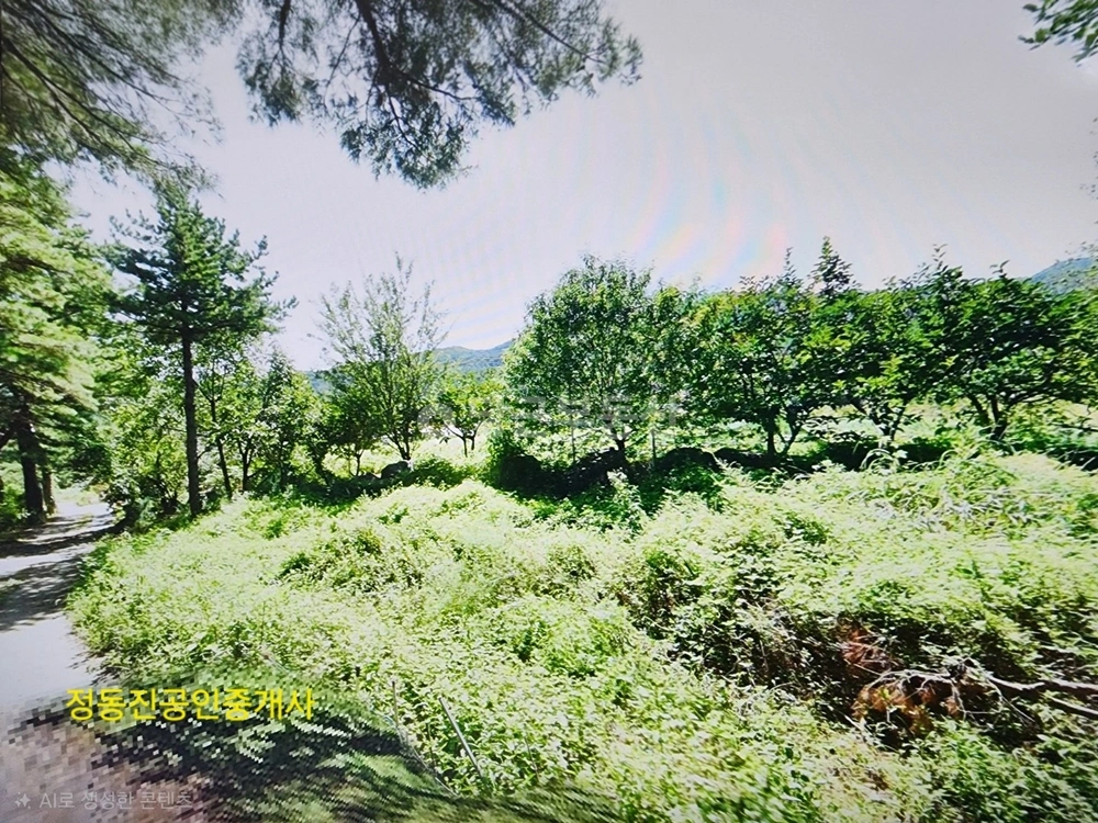 강원특별자치도 강릉시 구정면 토지 사진 1