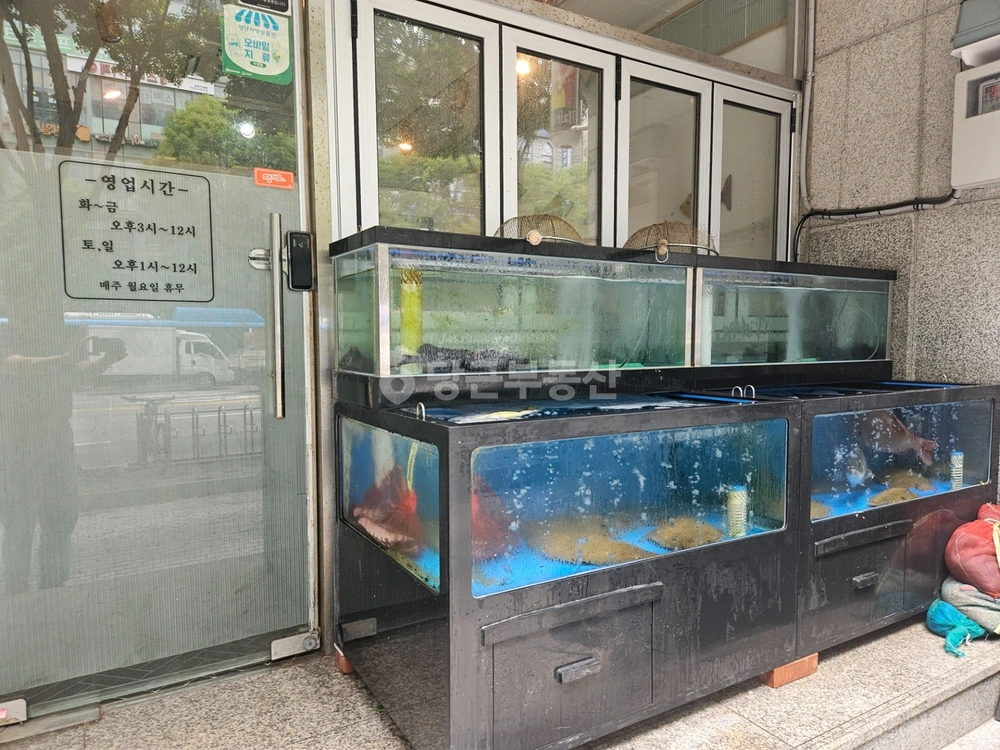 경기도 성남시 분당구 야탑동 상가 사진 1