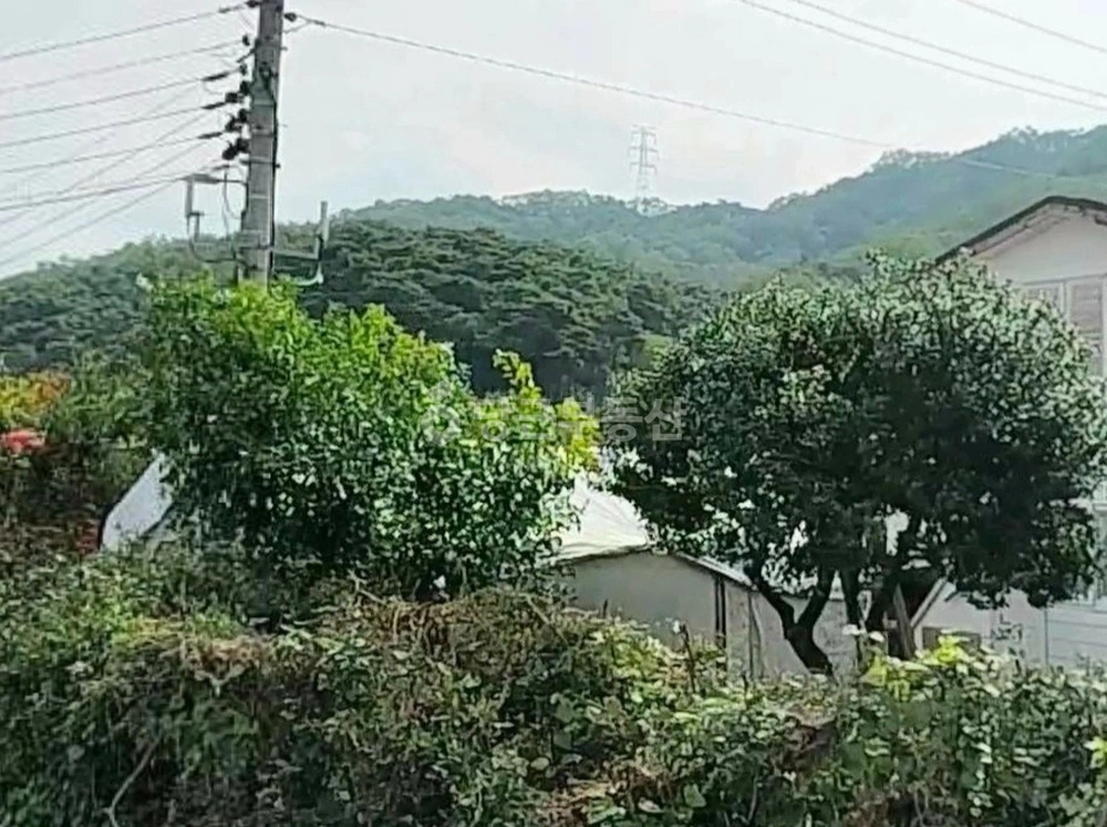 대구광역시 동구 미대동 토지 사진 1