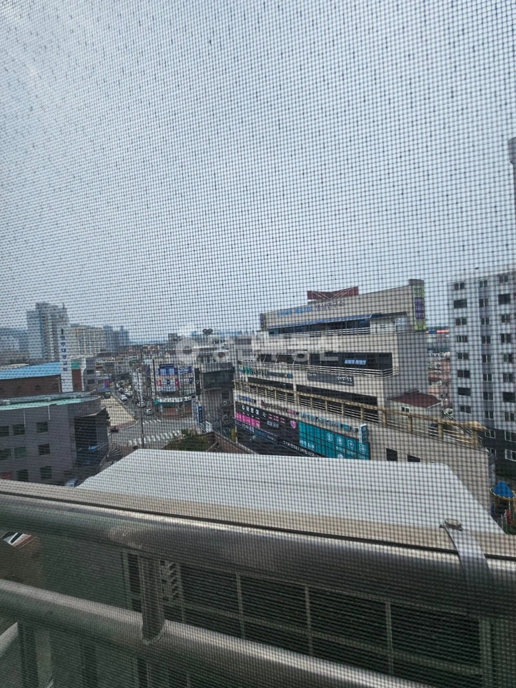 경상북도 경주시 황성동 오피스텔 사진 1