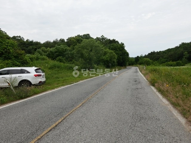 경상북도 의성군 점곡면 토지 사진 1