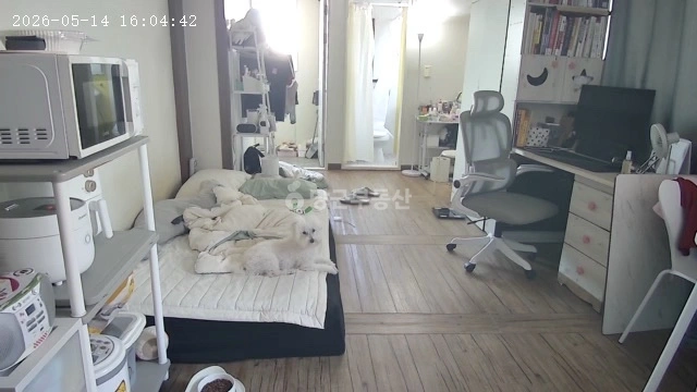 경상북도 경산시 조영동 원룸 사진 1