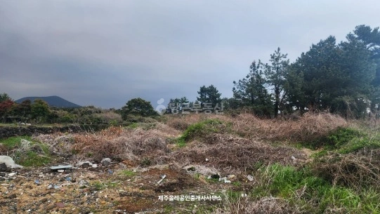 제주특별자치도 서귀포시 성산읍 토지 사진 1