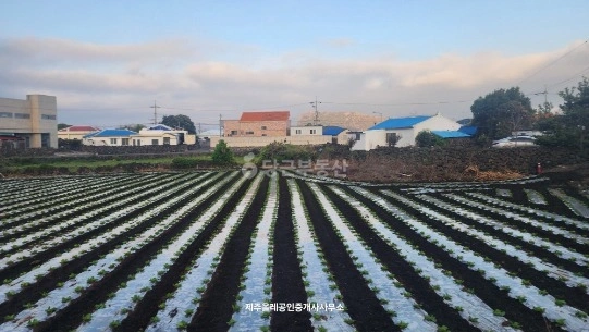 제주특별자치도 서귀포시 성산읍 토지 사진 1