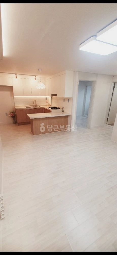 경기도 부천시 오정구 고강동 빌라(투룸 이상) 사진 1