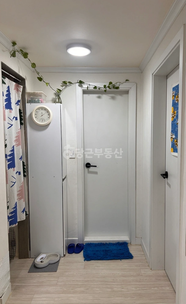 강원특별자치도 원주시 단구동 아파트 사진 1