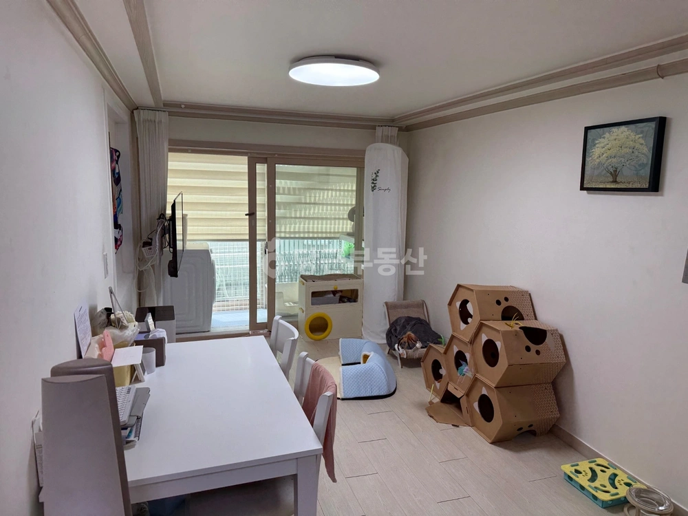 대전광역시 서구 괴정동 빌라(투룸 이상) 사진 1