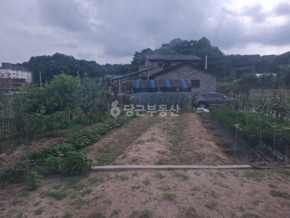 경기도 남양주시 진접읍 토지 사진 1
