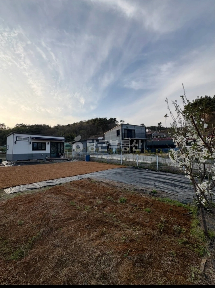 충청남도 서산시 성연면 토지 사진 1