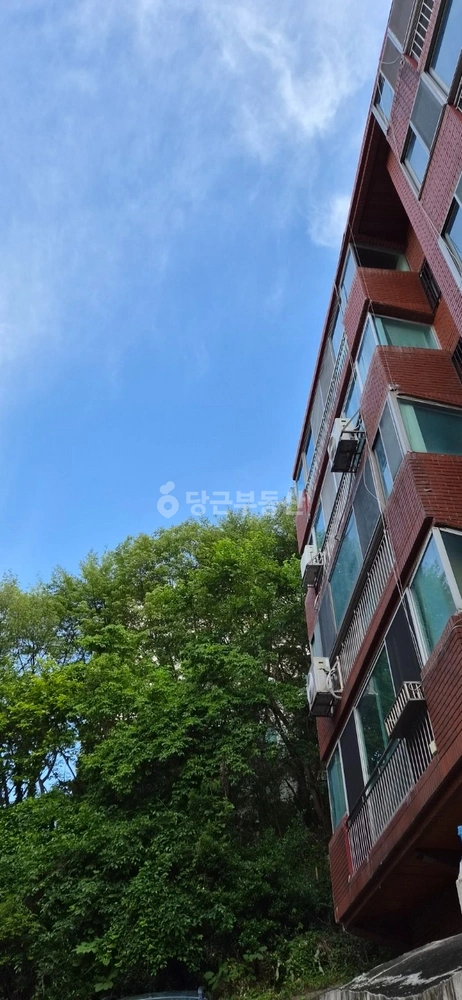 부산광역시 연제구 연산동 빌라(투룸 이상) 사진 1
