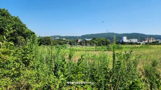 제주특별자치도 서귀포시 표선면 토지 사진 1