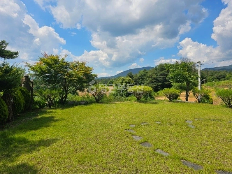 경상북도 문경시 마성면 단독/전원주택 사진 1