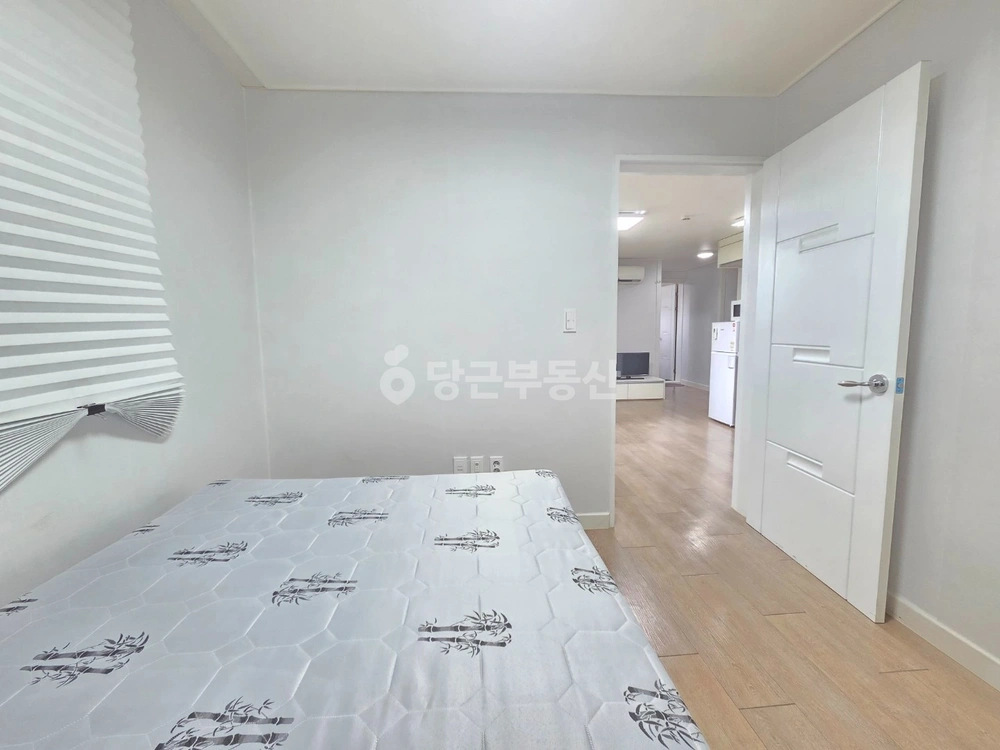 대전광역시 서구 괴정동 원룸 사진 1