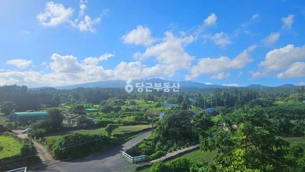 제주특별자치도 제주시 해안동 빌라(투룸 이상) 사진 1