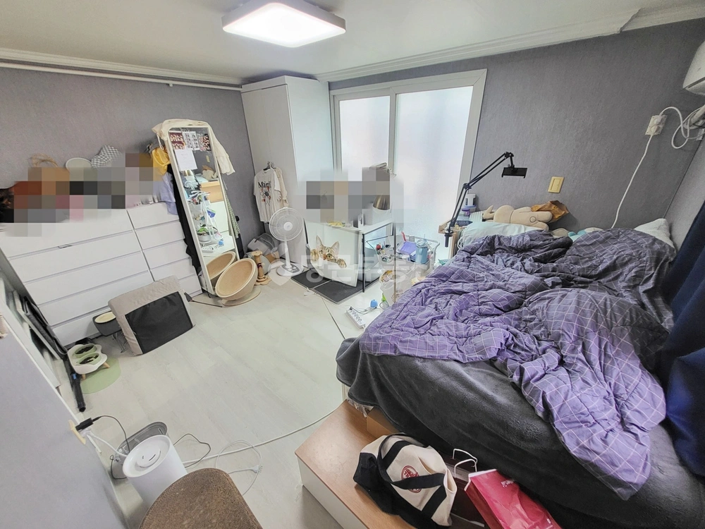 서울특별시 강남구 삼성동 원룸 사진 1