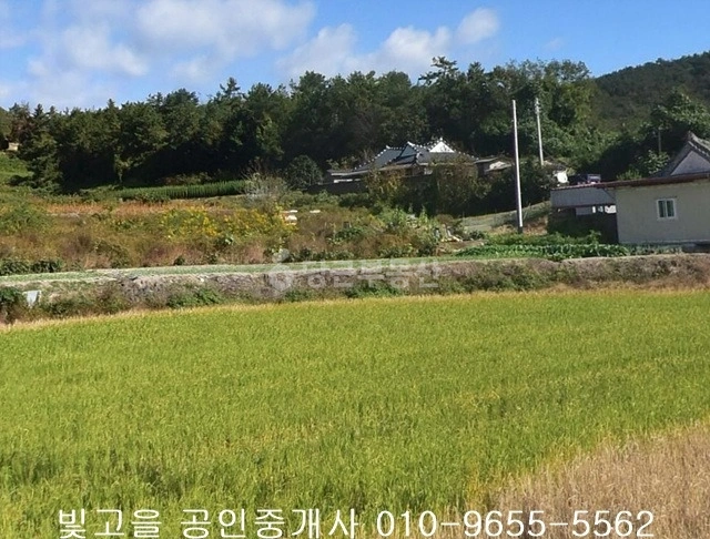 전남광주통합특별시 함평군 손불면 토지 사진 1